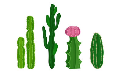 Cactus as Spiny Plant Living in Dry Environments Vector Set
