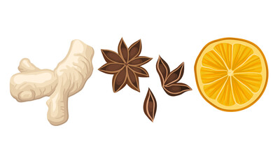Ingredients for Mulled Wine or Spiced Wine with Orange Slice and Aniseed Star Vector Set