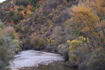 Castilla y León. León. Valdoré. OTOÑO. El momento en que estalla todo con su belleza pasada, como si la naturaleza hubiera estado ahorrando todo el año para el gran final. (Lauren DeStefano)