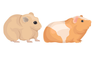 Rodents with Robust Bodies and Short Limbs Vector Set