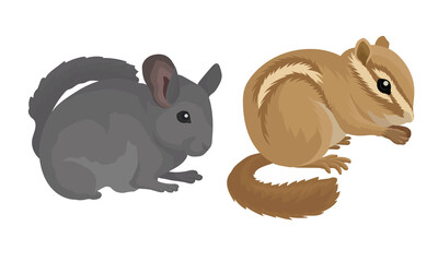 Rodents with Robust Bodies and Short Limbs Vector Set