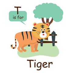 Vector baby illustration with tiger and letter T. ABC book. Cute zoo alphabet with funny animals. Letters. Learn to read. Isolated. For kids. Alphabet. Letter T.