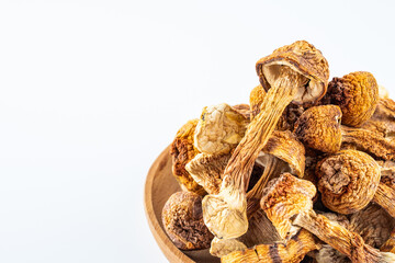 Wild matsutake dried on white background