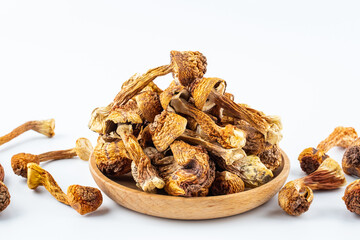 Wild matsutake dried on white background