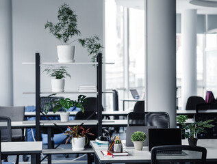 Modern cozy loft office interior and new normal. A lot of plants in the workers room with tables