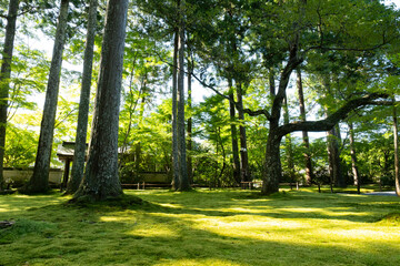 The Japanese garden of a traditional Kyoto temple