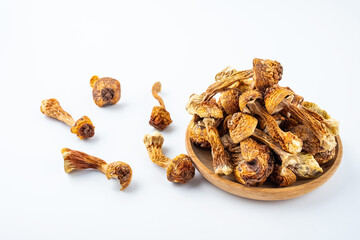 Wild matsutake dried on white background