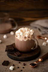 hot sweet chocolate cocoa with marshmallow and cinnamon in a glass mug