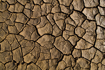 Dettagli di una Terra arida