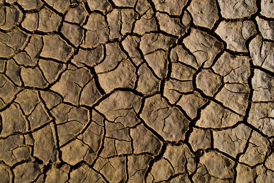 Dettagli di una Terra arida