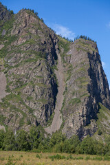 A large wall of a gray and brown mountain range with rocky stones covered with green conifers and grass against a blue sky in the Altai Republic.