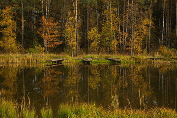 Fototapeta premium Sunny autumn day on the pond in the city park.