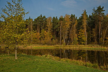 Sunny autumn day on the pond in the city park.