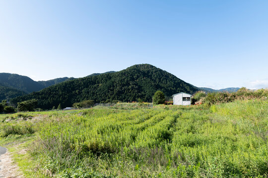 A view of an agricultural village deep in the mountains of Japan, taken on a clear day