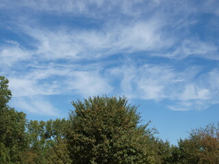 Whimsical clouds on a fall day at about 25,000 feet in altitude. They are made from ice crystals.