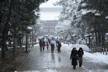 雪の東大寺参道