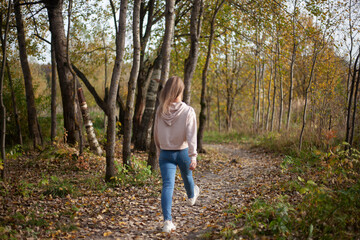 The girl walks in the autumn through the forest. A girl in blue jeans and a pink sweater walks on a warm autumn day. 
