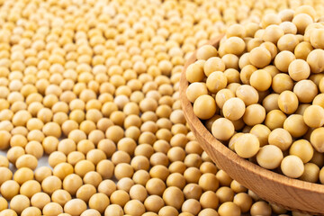 Full screen of golden soybeans