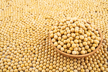 Full screen of golden soybeans