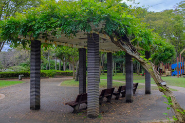 Obraz premium 金沢自然公園