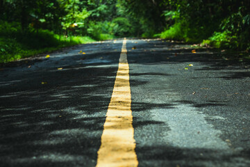 Obraz premium Highway road with trees and leading yellow painted lines in mountain landscapes after rain in northern Thailand.