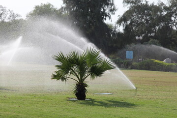 sprinkler spraying water on a green field  Dubai 2014