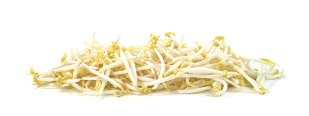 Cercles muraux Légumes frais Bean Sprouts isolated on white background