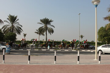 trees on the street  Dubai 2014