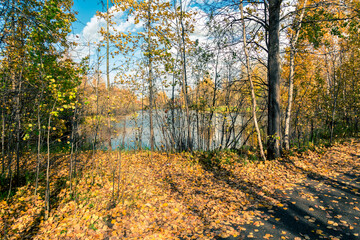 September landscape near the forest lake in the autumn day