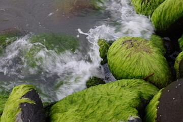 mossy rocks by the beach, for the background