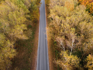 Naklejka premium Road in autumn forest, aerial view