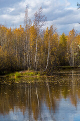 September landscape near the forest lake in the autumn day