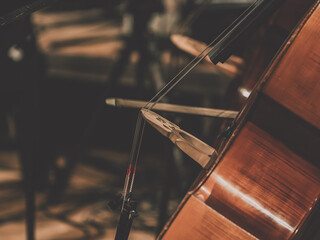 Double bass section in a classical orchestra. Side view on musicians and their instruments....