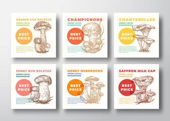 Mushrooms Vector Label Templates Collection. Hand Drawn Champignons, Chanterelles, etc. Sketches with Modern Typography. Edible Plants Cards. Advertising Emblems or Package Labels Set.