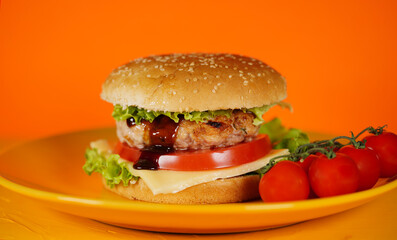 Hamburger or sandwich. Delicious sandwich hamburger with meat, cheese and fresh vegetable. Hamburger or sandwich is the popular fast food for brunch or lunch. Juicy cheeseburger