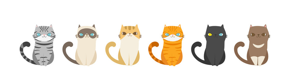 Set of different cats breeds in the same poses, Isolated on white background. Character design. Vector illustration, Cartoon doodle style.