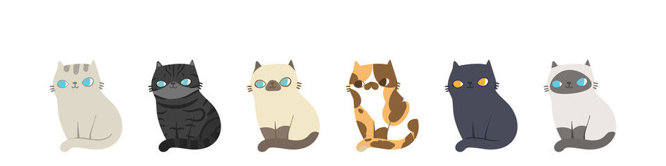 Set of different cats breeds in the same poses, Isolated on white background. Character design. Vector illustration, Cartoon doodle style.