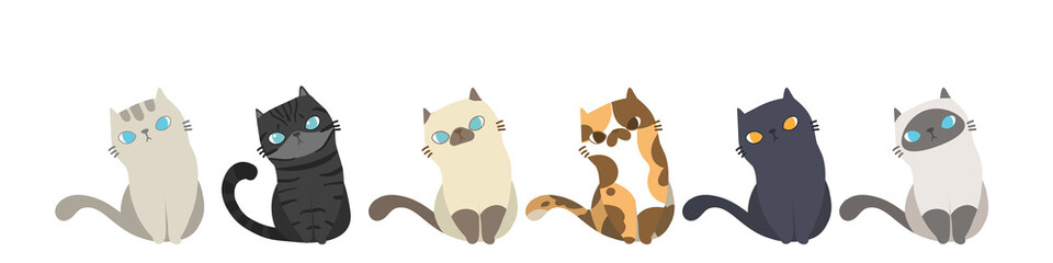 Set of different cats breeds in the same poses, Isolated on white background. Character design. Vector illustration, Cartoon doodle style.