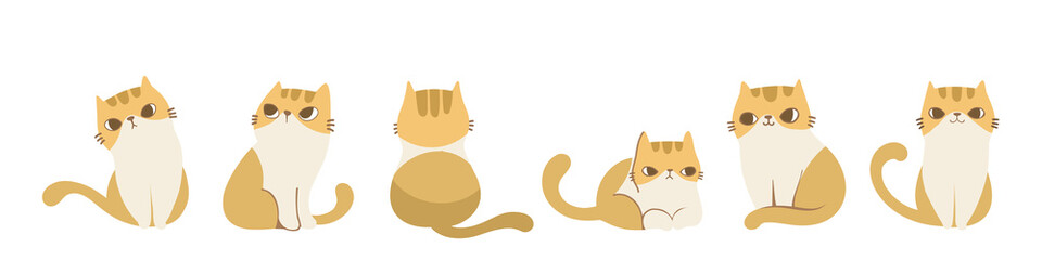 Set of cats in different poses, Isolated on white background. Character design. Vector illustration, Cartoon doodle style.