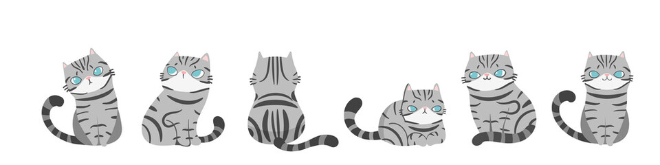 Fototapeta na wymiar Set of cats in different poses, Isolated on white background. Character design. Vector illustration, Cartoon doodle style.