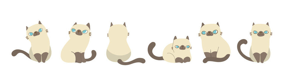Set of cats in different poses, Isolated on white background. Character design. Vector illustration, Cartoon doodle style.