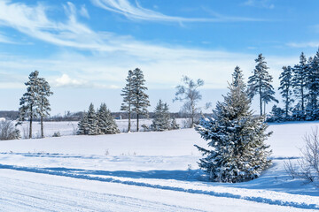 Road through the rural winter landscape of Prince Edward Island, Canada.