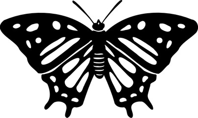 Hand drawn Black Butterfly
