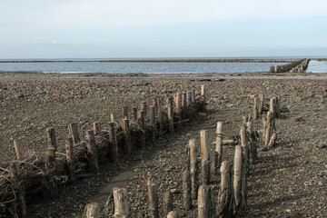 Wattenmeer, bei Ebbe,Strasse zur Insel Mando, Traktortouren, Jütland, Dänemark