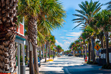 View of Palm Trees on a nice day