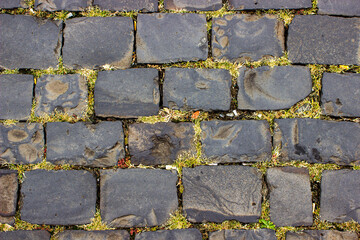 Big dark grey almost black cobble stone pavement with weeds between the aged bricks