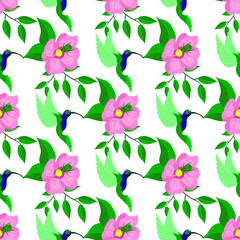 Hummingbird bird and pink flowers on  background, vector illustration, seamless pattern.