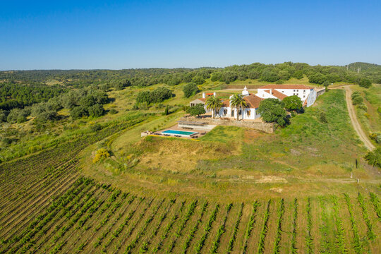 Aerial view of Vineyard estate, Portugal.