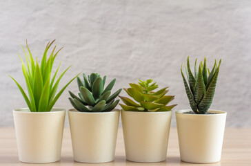 Several small pots with artificial succulents on a light table or shelf against the wall in the room.Copy of the space.