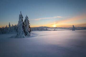 winter view of the Kubinska hola, Slovakia © am13photo